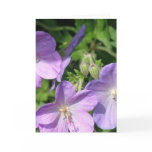 Pruning Geraniums Greeting Card
