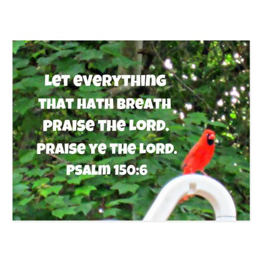 Psalm 150:6 post cards