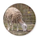 Psalms magnets
