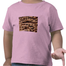 Pseudoscorpion - side tshirt