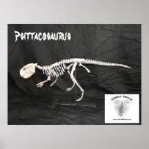 Psittacosaurus Skeleton Print