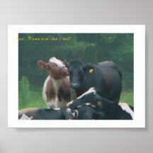 Pssst...Wanna know what I herd? Poster