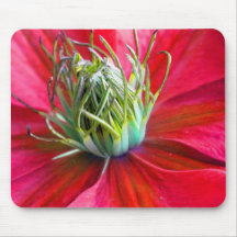 Psychadelic Red Clematis Mousepad