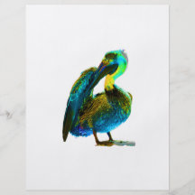 Psychadelic Young Pelican Cleaning Flyer