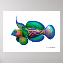 Psychedelic Mandarin Fish Posters