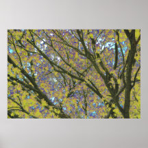 Psychedelic Nature Canvas Print