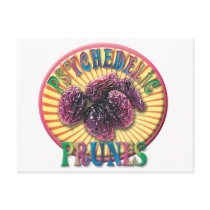 Psychedelic Prunes