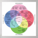 Psycotropic Drug Chart posters