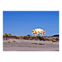 Pt. Reyes Beach On A Rare Hot Day Invites