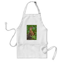 ptarmigan apron