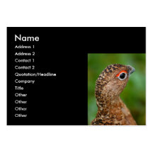 ptarmigan business cards