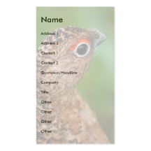 ptarmigan business cards