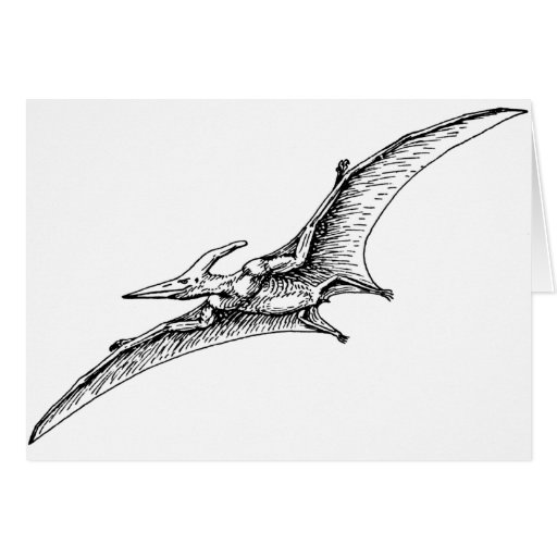 Pterodactyl Card
