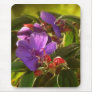 PTF 1 MOUSEPAD