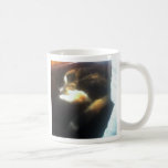 Pub Cat copy, I lovecats Coffee Mugs