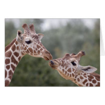 Pucker Up! Card