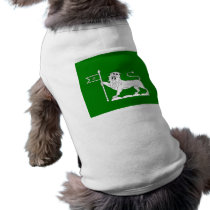 Pudukkottai, India pet clothing