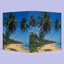 Puerto Rico, Isla Verde, palm trees. binders