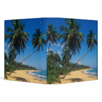 Puerto Rico, Isla Verde, palm trees. 3 Ring Binder