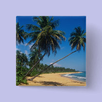 Puerto Rico, Isla Verde, palm trees. buttons