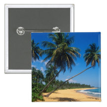 Puerto Rico, Isla Verde, palm trees. Pinback Button