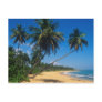 Puerto Rico, Isla Verde, palm trees. Postcard