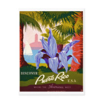Puerto Rico Vintage Postcard