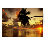 Puerto Vallarta Card