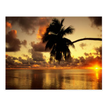 Puerto Vallarta Carte Postale