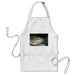 puffer fish facing right yellow eye.jpg aprons