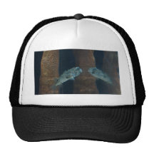 Puffer Fish Mirage Trucker Hat