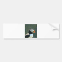 Puffin Bumper Sticker