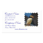 Puffin Business Cards