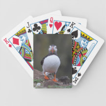 Puffin Deck Of Cards