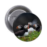 Puffin Gang Button