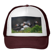 Puffin Gang Hat