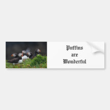 Puffin  H Bumper Sticker