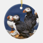 Puffin-tastic Christmas Ornament