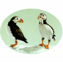 Puffins