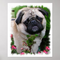 Pug Art Print