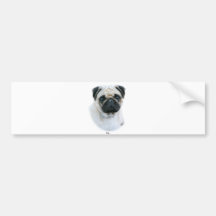 Pug Bumper Sticker