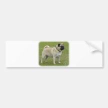 Pug Bumper Stickers