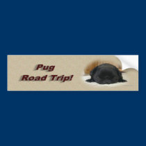 pug_bumpersticker bumper stickers