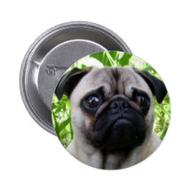 Pug button