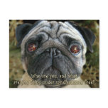 Pug Christmas postcard - Look into her eyes...