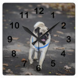 Pug Clocks