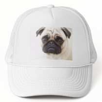 Pug Dog Baseball Cap Mesh Hats