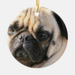 Pug Dog Breed Ornament