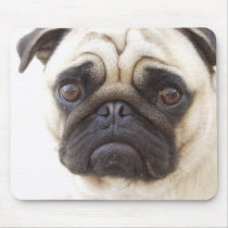 Pug Dog Mouse Pad