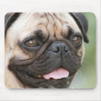 Pug Dog Mouse Pad